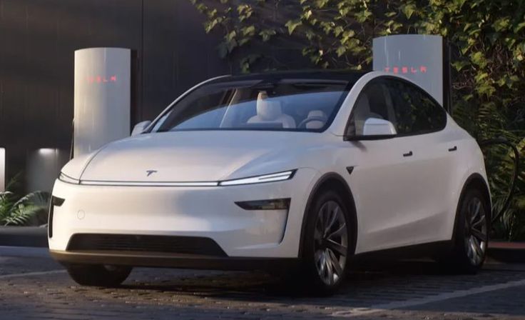 Tesla in India