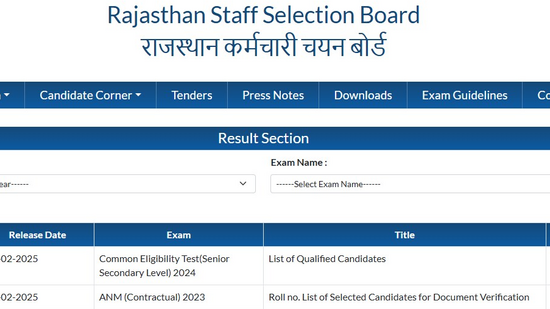 RSMSSB CET Result 2024