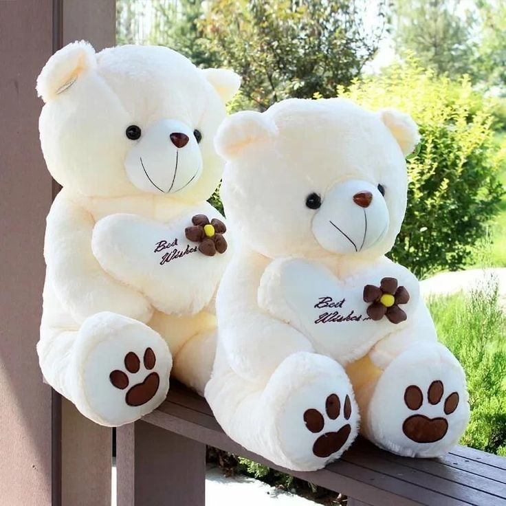 Teddy Day