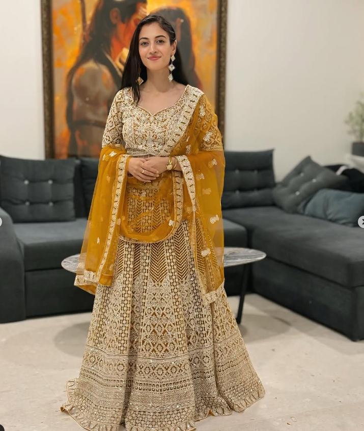 Apollena Actress Aditi Sharma's Secret Marriage