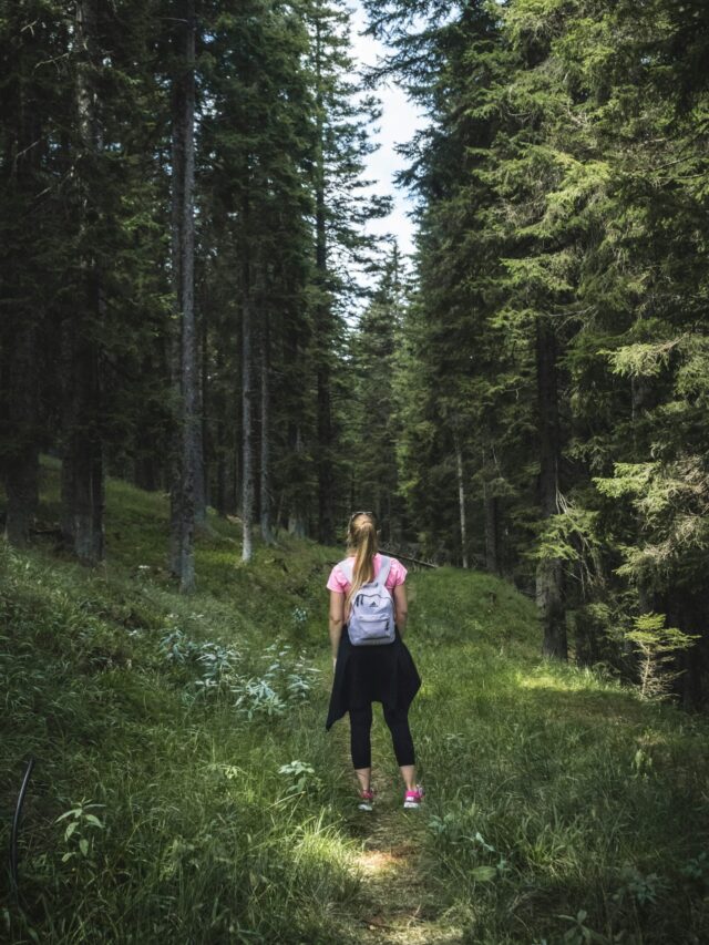 andraz-lazic-pg3E6_VioZY-unsplash